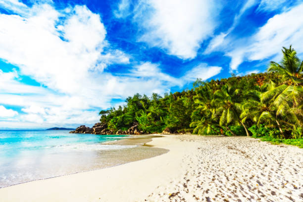 istock sunny day on paradise beach anse georgette,praslin seychelles 51 873338770