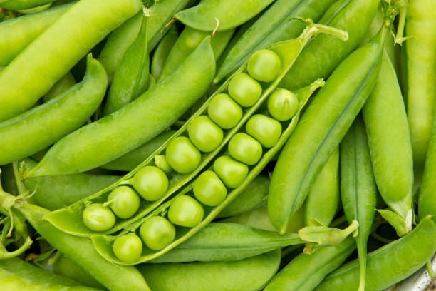 istock Pods of fresh green peas 873339176