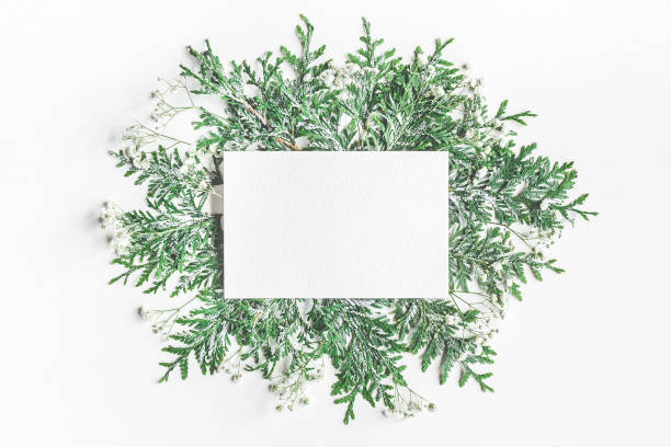 Paper blank, thuja branches on white background. Flat lay Christmas composition. Paper blank and thuja branches on white background. Flat lay, top view, copy space playing card photos stock pictures, royalty-free photos & images