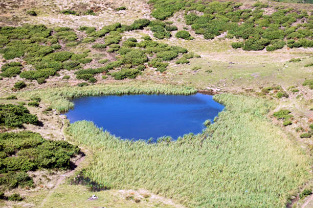 istock Mountain lake Ivor. Svydovets ridge 873341192