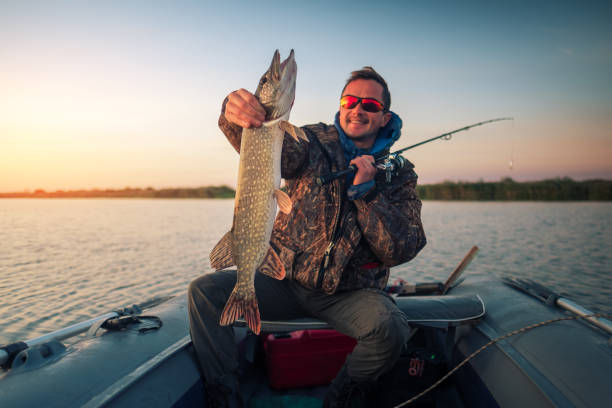 istock Amateur angler holds pike fish 873359458
