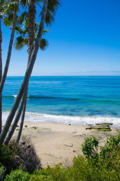 istock Beautiful Heisler Park, Laguna Beach, California 873368074
