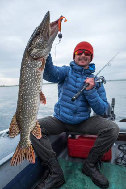 istock Happy angler holds northernpike 873368186
