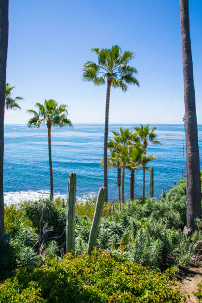 istock Beautiful Heisler Park, Laguna Beach, California 873368400
