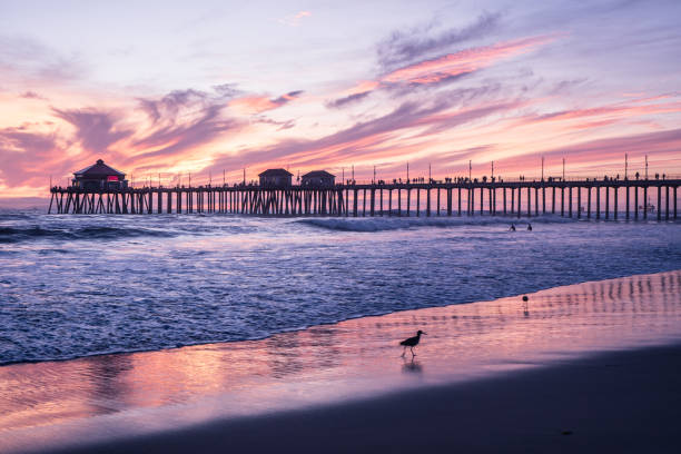 istock Gorgeous Huntington Beach Sunset 873371684