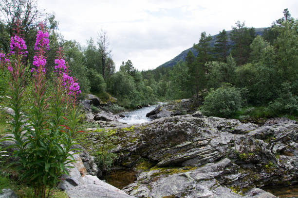 istock River Rauma, Oppland, Norway 873372172