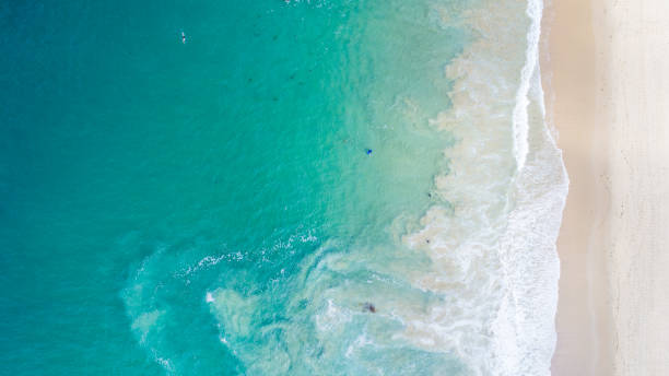 istock Aerial View of Crystal Cove State Beach 873380822