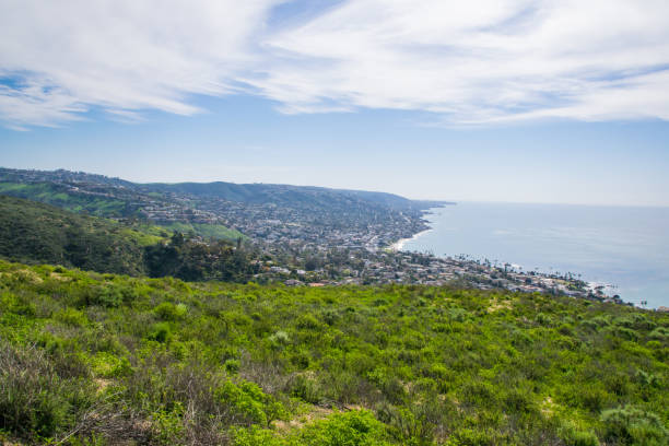 istock Beautiful Lush Laguna Beach, California 873381802