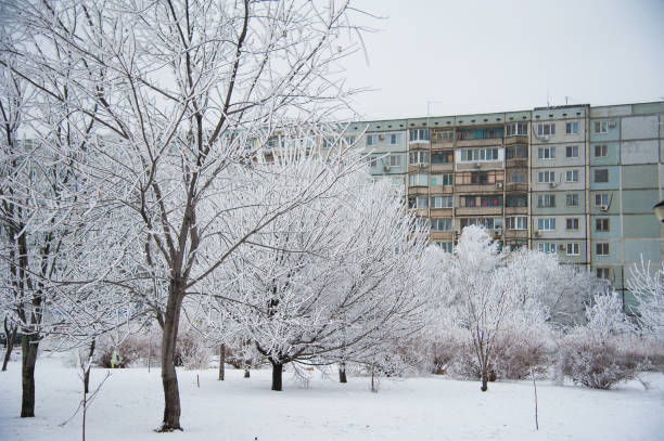 istock Snow-covered trees in a city park 873385630