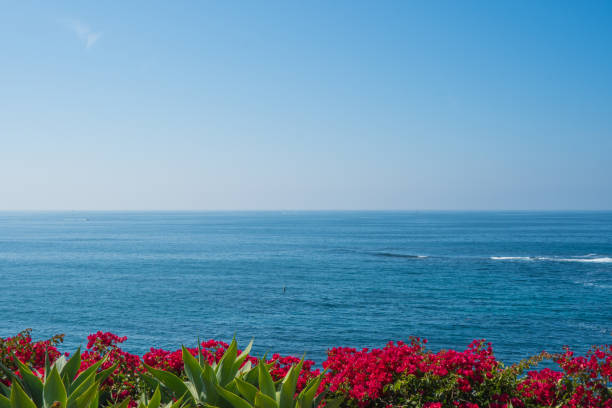 istock Beautiful Laguna Beach, Southern California 873388498