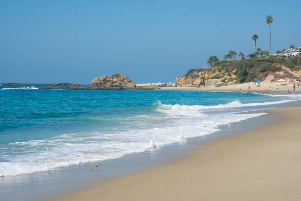 istock Beautiful Laguna Beach, Southern California 873388698