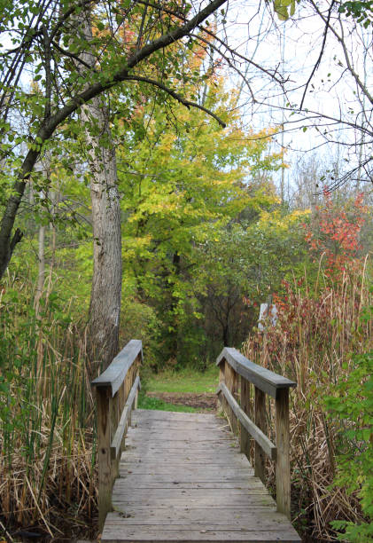 istock Wooden bridge on hiking trail in October 873396024