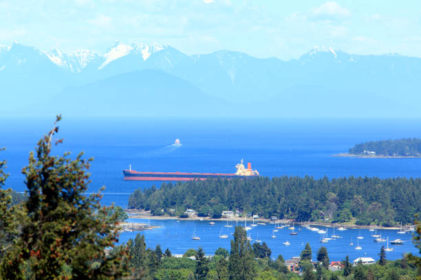 istock Nanaimo Vancouver Island Harbour 873403204