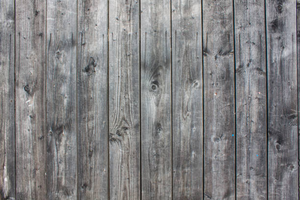 istock Wood texture background, wooden panels close up. Grunge textured image. Vertical stripes 873405990