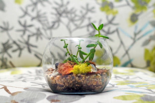 istock Terrarium on trendy flower and leaf pattern chair 873409660