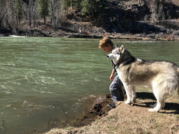 istock Boy hiking in the Truckee River with his dog 873409794