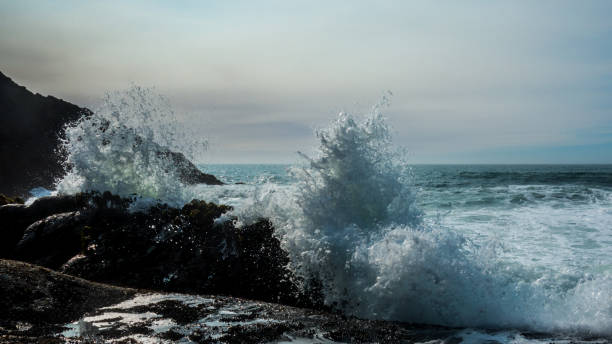 istock Waves Crashing in the Pacific Northwest 873412148