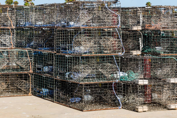 istock Lobster Traps Stacked on a Dock in Ventura, California 873412488