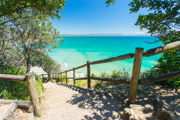 spiaggia di wategoes a byron bay, australia - surfing new south wales beach australia foto e immagini stock