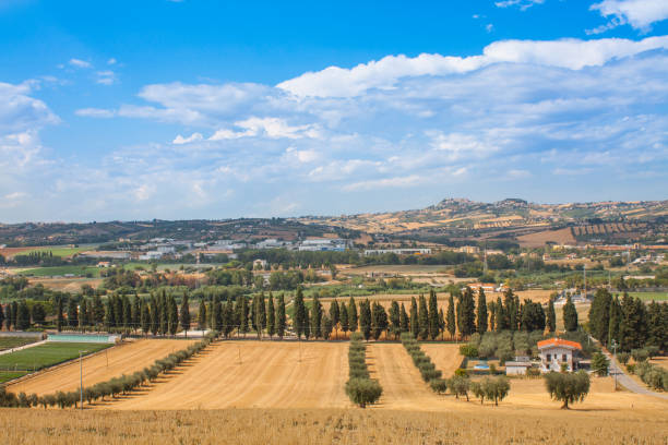 istock Italy Landscape View with Clouds on Blue sky, Italian Fields 873415272