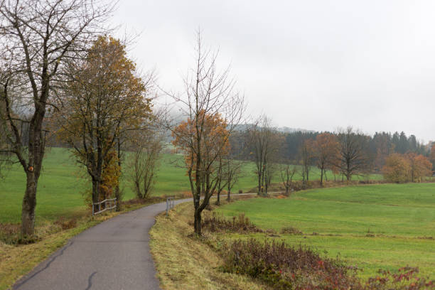 istock foggy autumn landscape 873415542