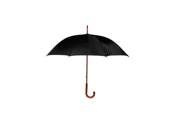 istock Black Umbrella Center on White Background 873415994