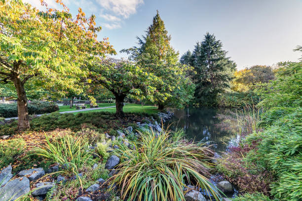 istock autumn colours in a park 873416028