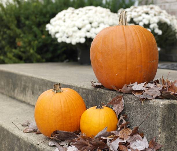 istock Three pumpkins sitting on porch steps 873418646