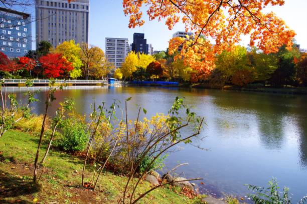 istock Nakajima Park in a superb view 873422318