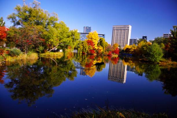 istock Nakajima Park in a superb view 873422380