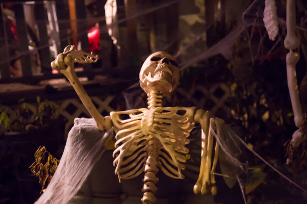 istock Scary halloween decoration spooky skeleton no people 873422644