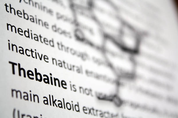 Thebane 60+ Thebaine Stock Photos, Pictures & Royalty-Free Images - iStock