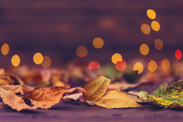 istock Background with fall leaves and bokeh on wood 873423432