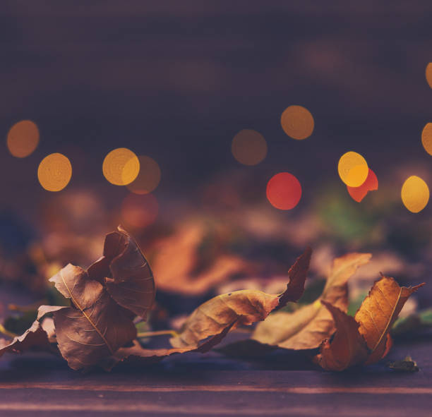 istock Background with fall leaves and bokeh on wood 873423454