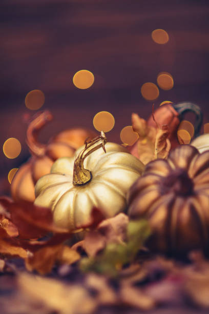 istock Thanksgiving still life with metallic colored pumpkins 873423472