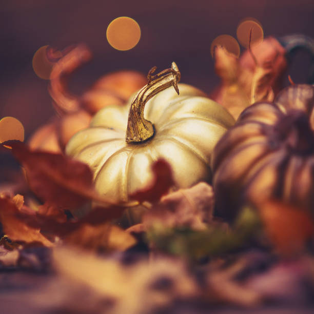 istock Thanksgiving still life with metallic colored pumpkins 873423496
