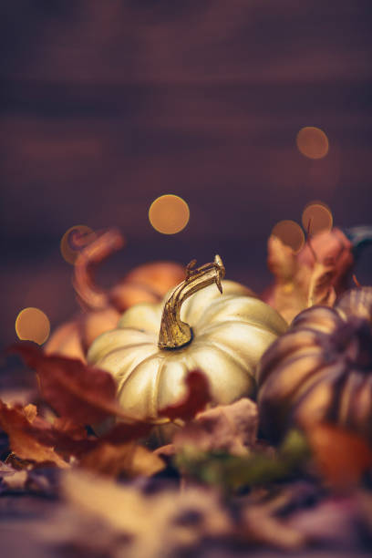 Thanksgiving still life with metallic colored pumpkins