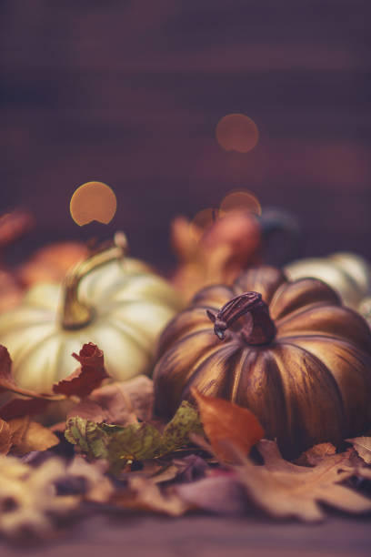 istock Thanksgiving still life with metallic colored pumpkins 873423502