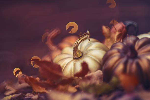 istock Thanksgiving still life with metallic colored pumpkins 873425532