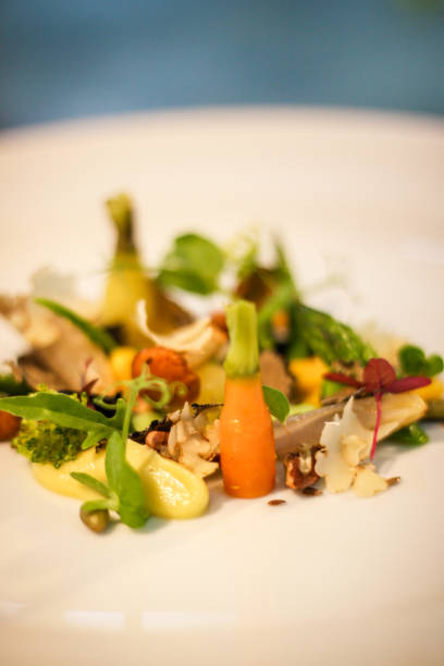istock Gourmet Food on dish 873425582