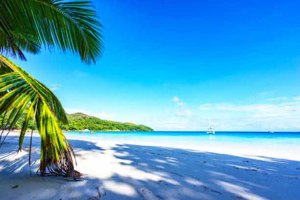 istock stunning paradise beach at anse lazio, praslin, seychelles 15 873428198