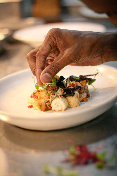 istock Gourmet Food prepared by Chef 873428206