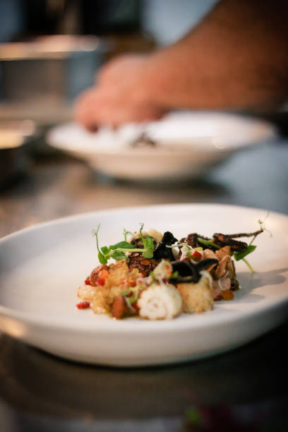 istock Gourmet Food prepared by Chef 873428214