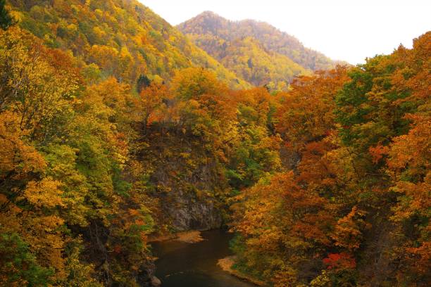 istock Toyohira River in Jozankei Onsen 873428664