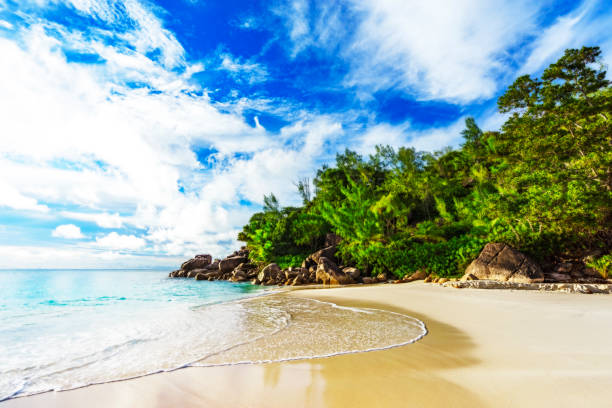 istock sunny day on paradise beach anse georgette,praslin seychelles 56 873431436