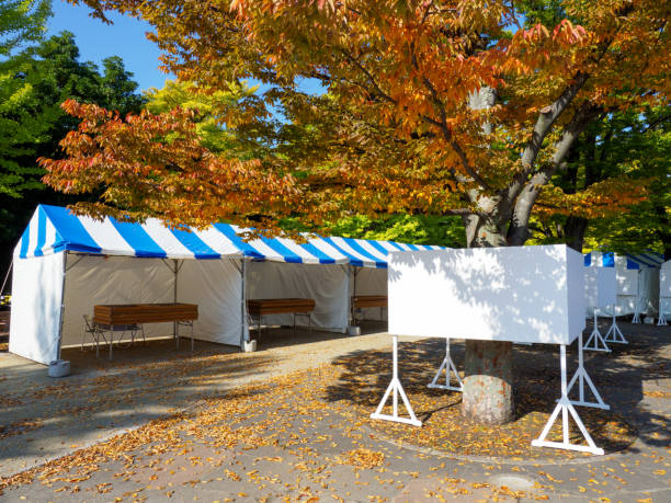 istock Tokyo autumn leaves 873431938