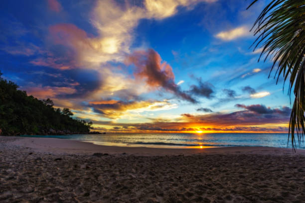 istock looking through palm leaf at sunset at anse georgette,praslin,seychelles 19 873435436