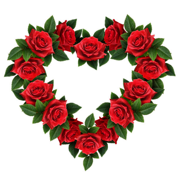 istock Red rose flowers heart shape arrangement 873438898