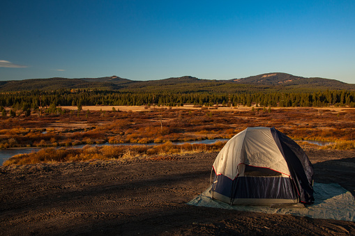 Camping near west yellowstone Montana, USA