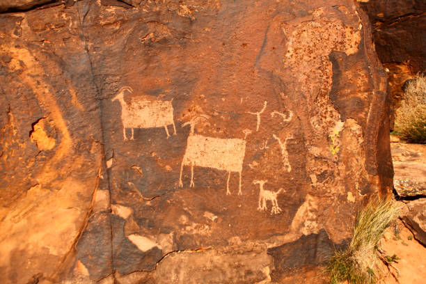 istock petroglyphs of sheep 873444486
